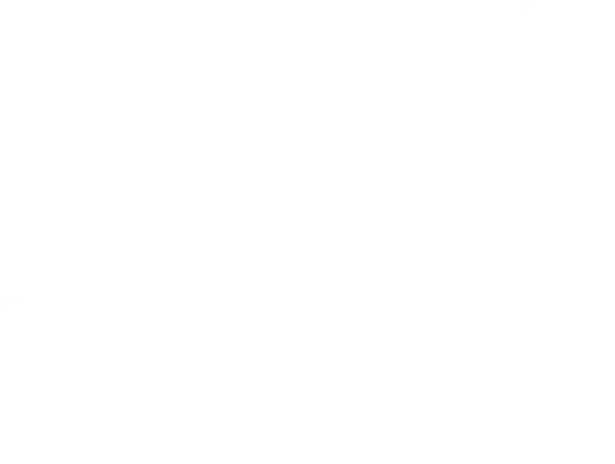switch-on Logo in weiß